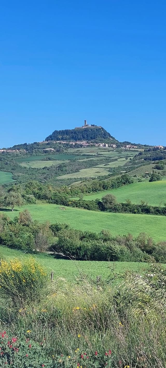 Foto viaggio  — domitilla steiner
