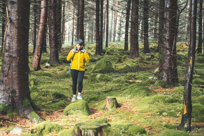 Wicklow Way: versione breve con 2 notti a Dublino - foto 3