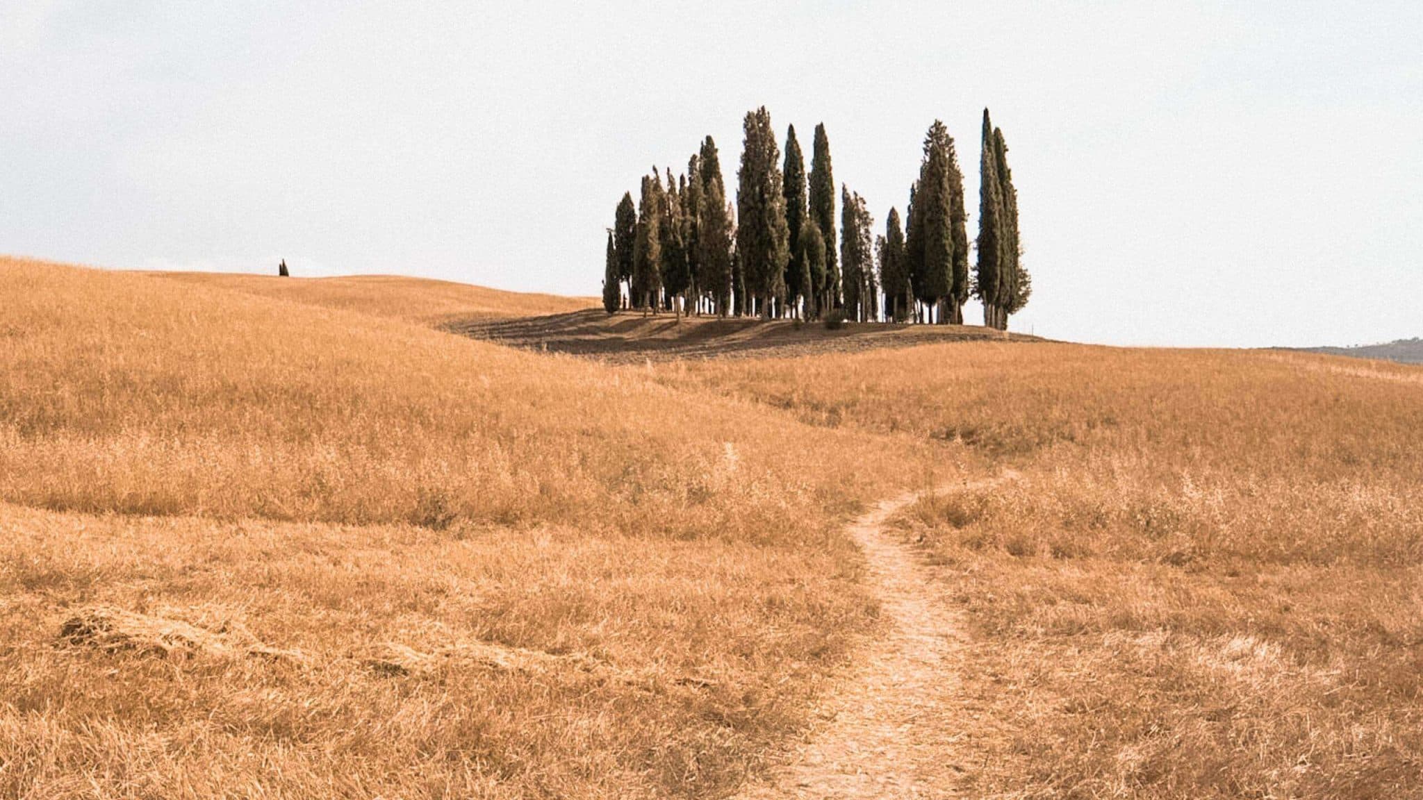 Via Francigena da Siena a Bolsena