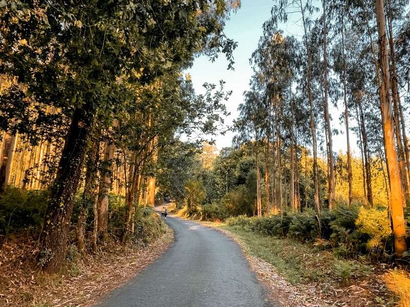 Cammino Inglese da Ferrol - foto 4