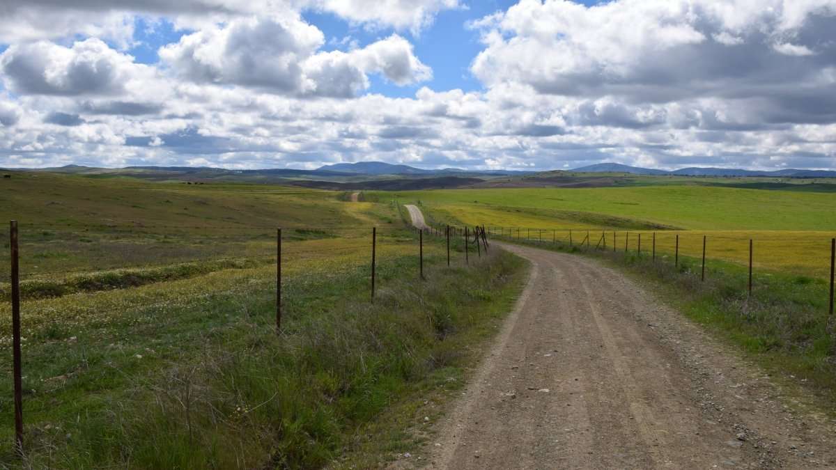 #WalkingEurope e la Via de la Plata: da Siviglia a Zafra a piedi