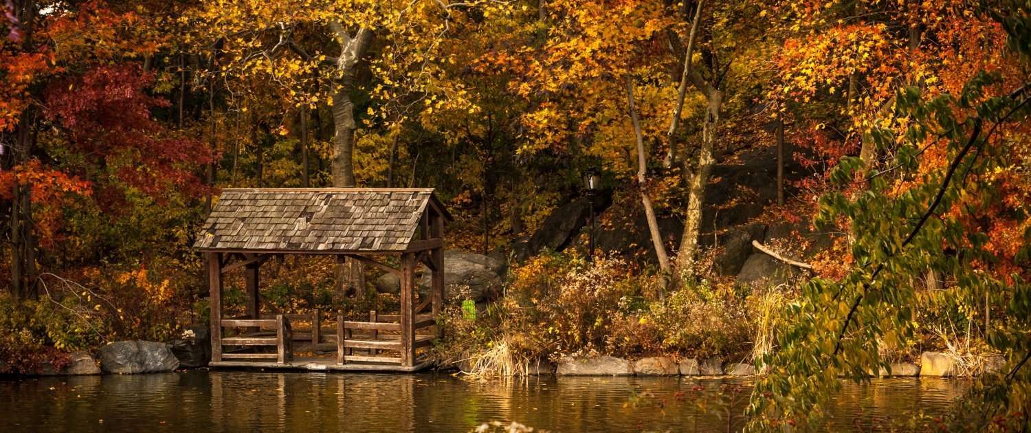 Camminare in autunno si può: 6 motivi in più per farlo