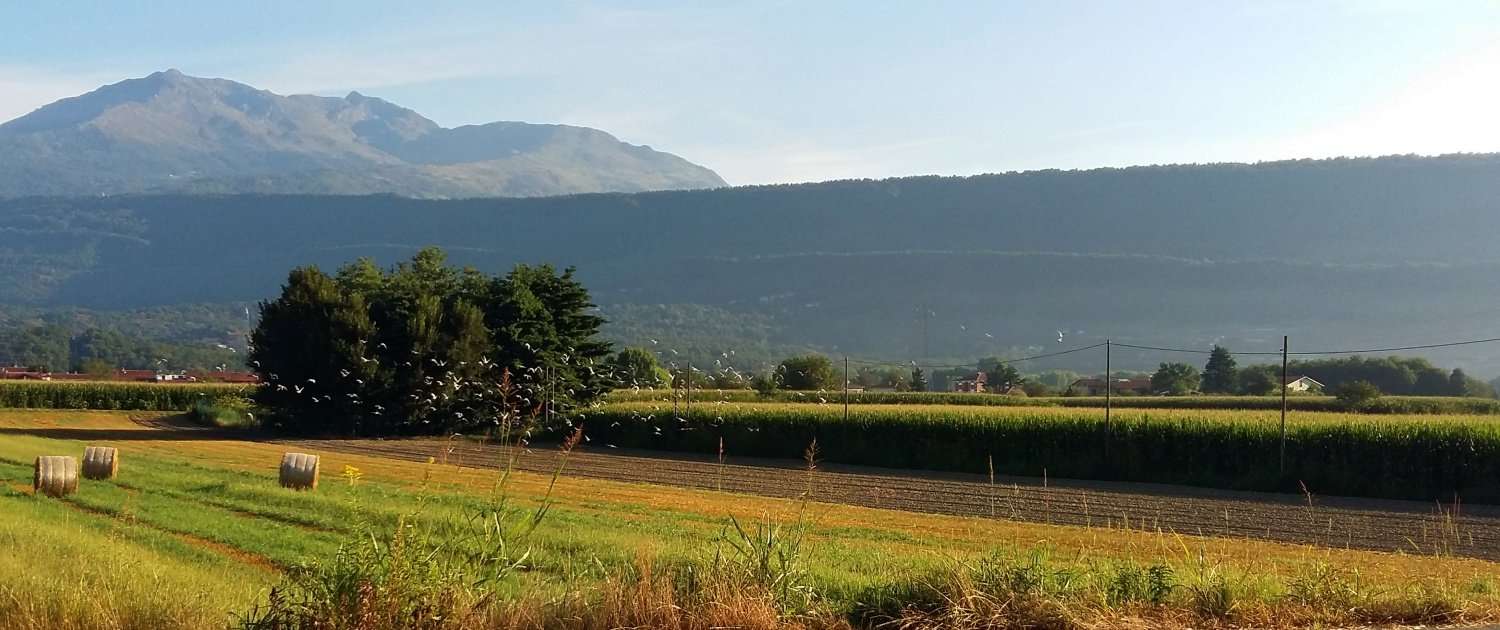 La via Francigena da Ivrea a Pavia (Travel blog)