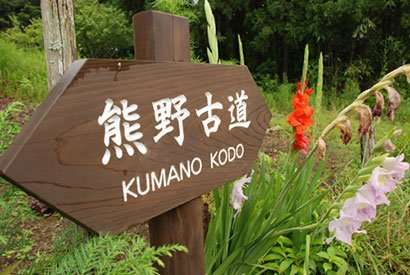 Kumano Kodo Nakahechi. Il Cammino in Giappone patrimonio Unesco - foto 1