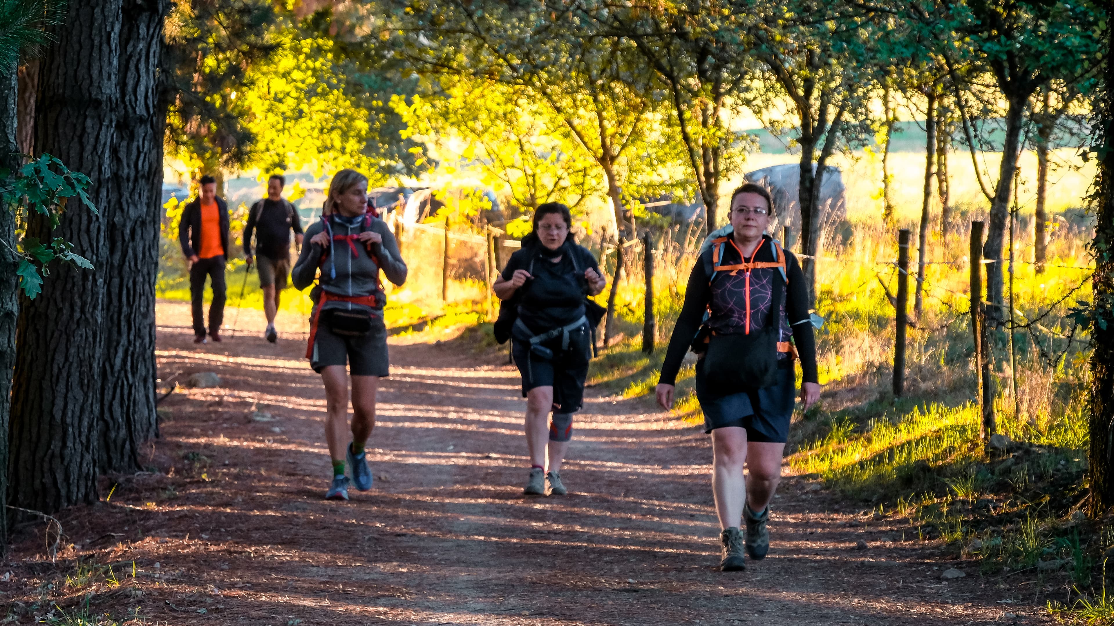 Cammino di Santiago self-guided: quello che la maggior parte delle guide non ti dice