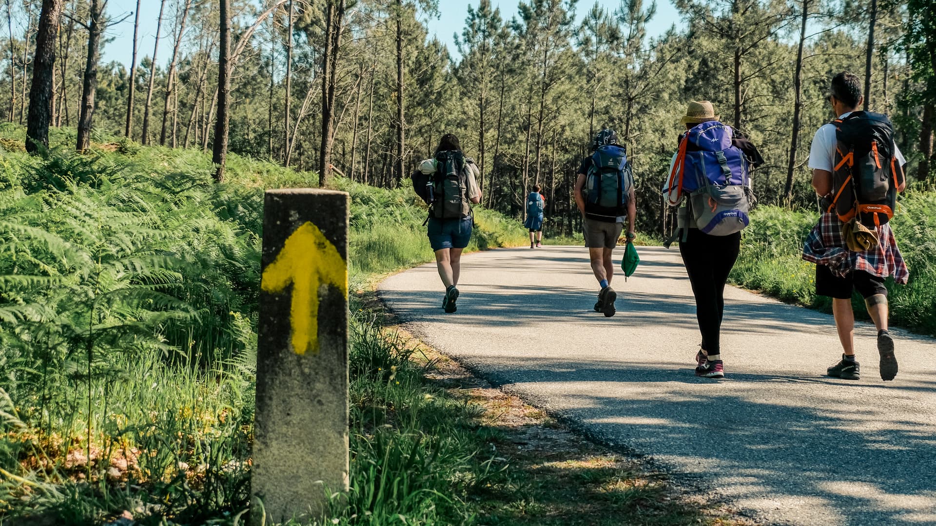 Cammino di Santiago ultimi 100 km: self-guided da Sarria, Tui, Vigo o Ferrol