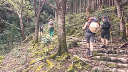 Kumano Kodo: il cammino del Giappone che non puoi organizzare da solo