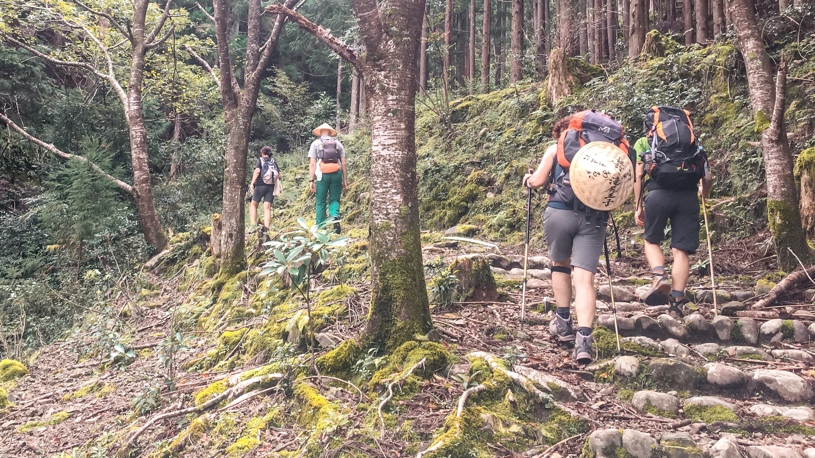 Kumano Kodo: il cammino del Giappone che non puoi organizzare da solo