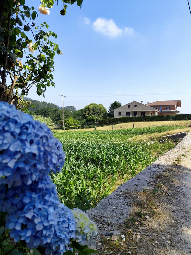 Foto viaggio Cammino portoghese da Tui — Laura