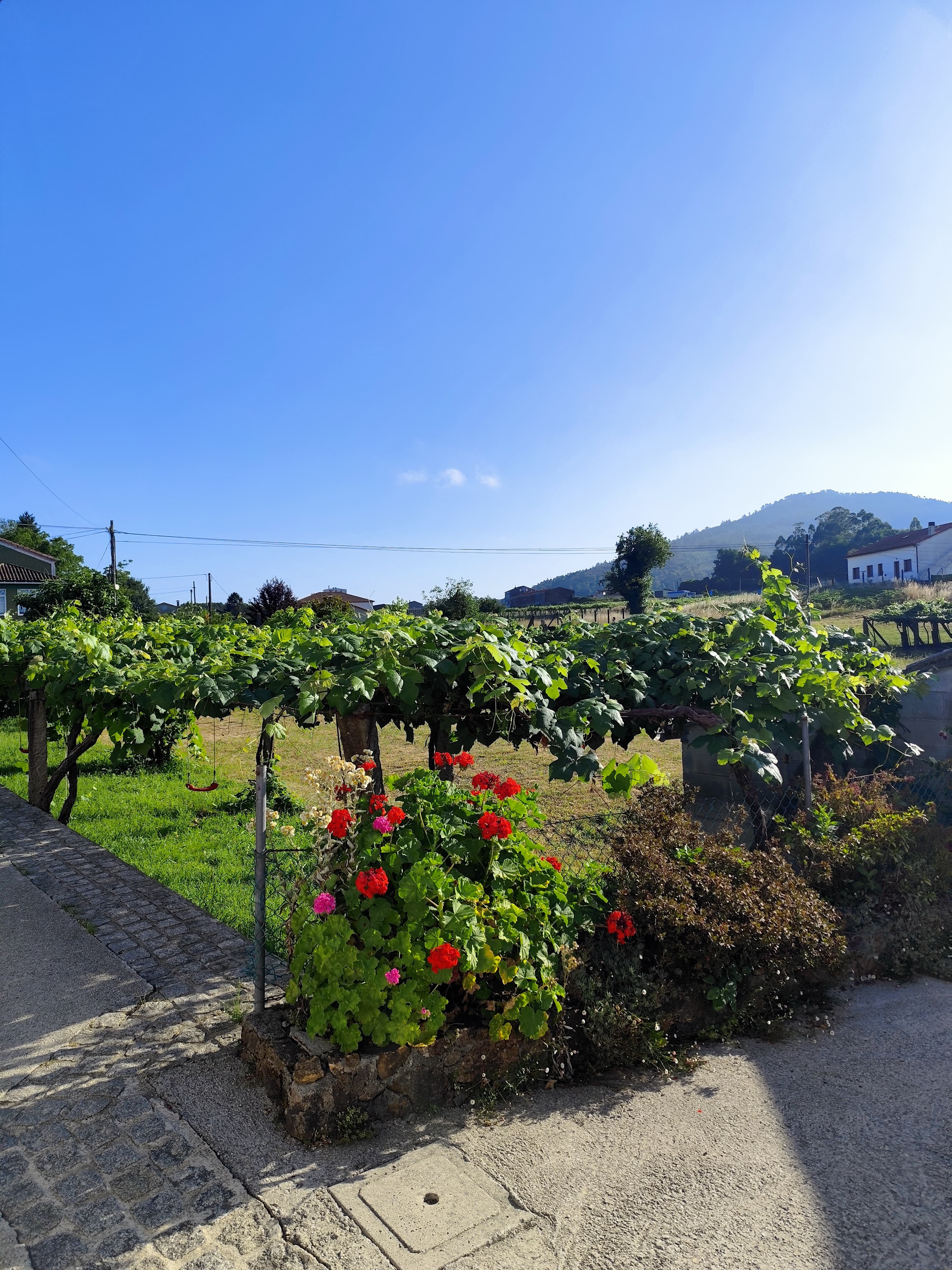 Cammino portoghese da Tui