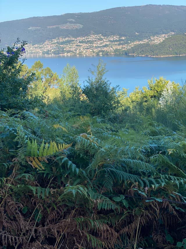 Foto viaggio Cammino portoghese — Gaetano Bonfiglio