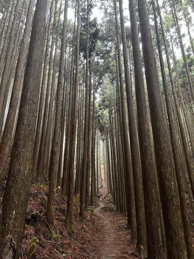 Foto viaggio — Donato Moracci