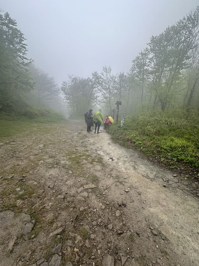Foto viaggio — Mauro Motterlini