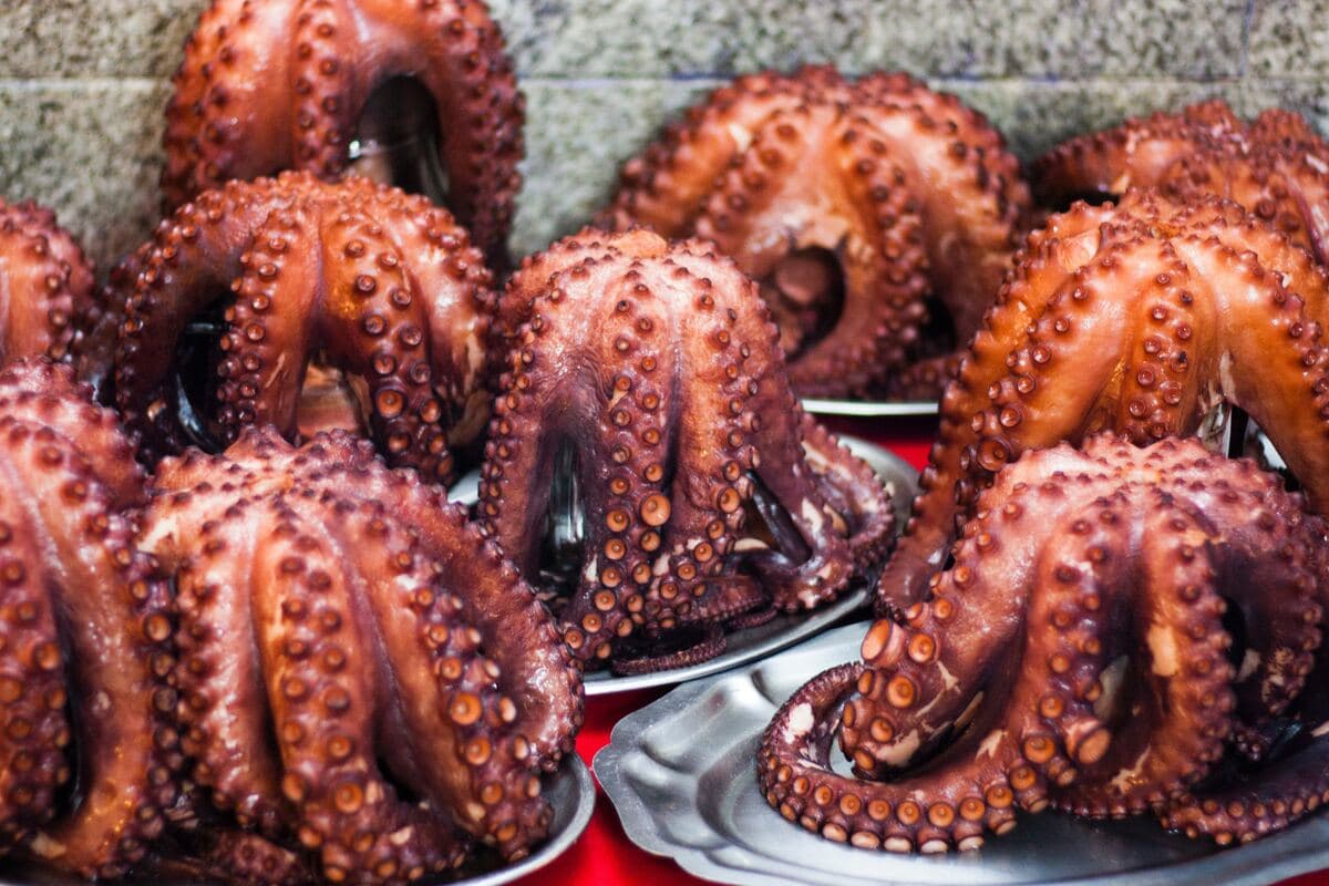 Piatti della Cucina galiziana: guida gastronomica per principianti