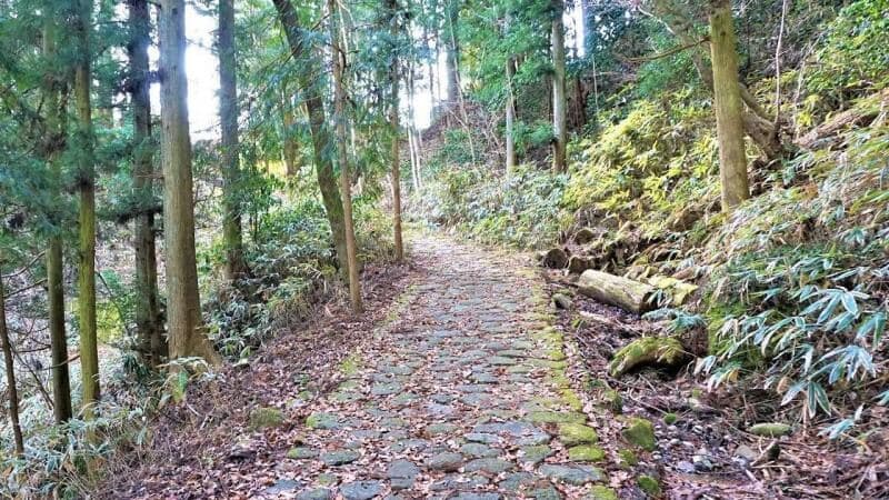 Nakasendo Trail - La Via dei Samurai - foto 4