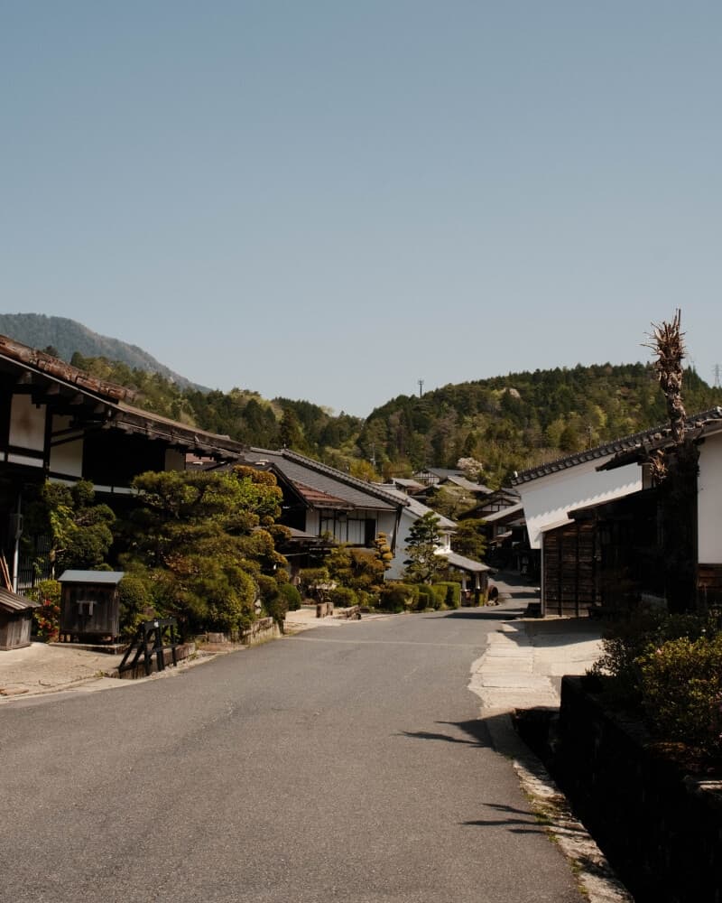 Nakasendo Trail - La Via dei Samurai - foto 3