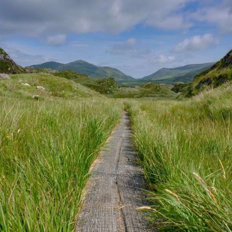 Wicklow Way: versione breve con 2 notti a Dublino - foto 7