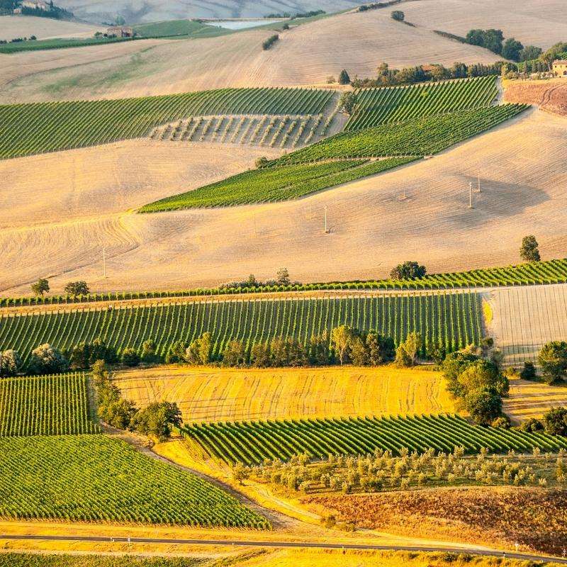Via Francigena da Siena a Bolsena - foto 6