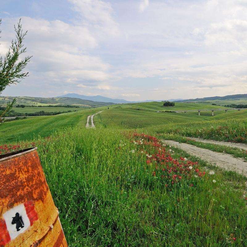 Via Francigena da Siena a Bolsena - foto 5