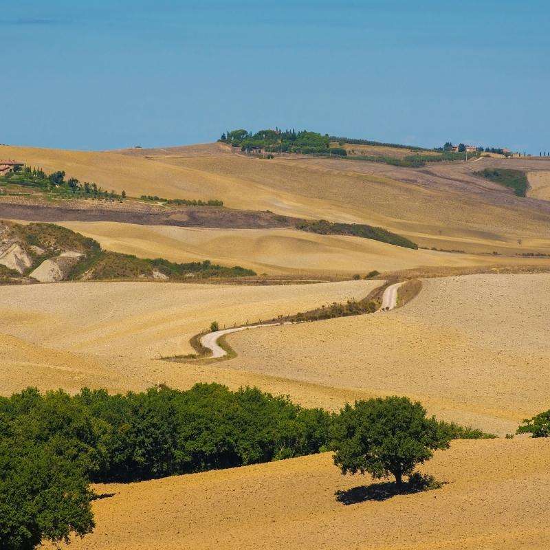 Via Francigena da Siena a Bolsena - foto 3