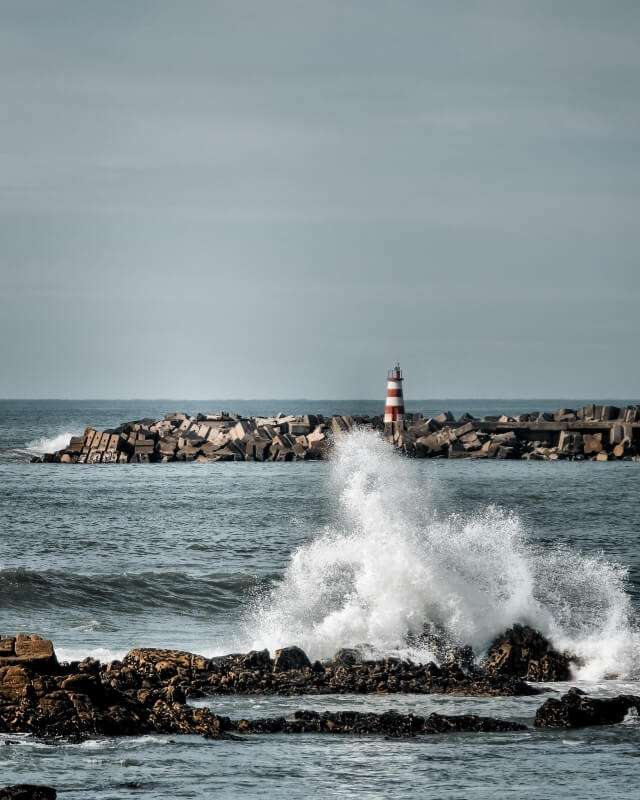 Cammino Portoghese della costa da Porto - foto 4