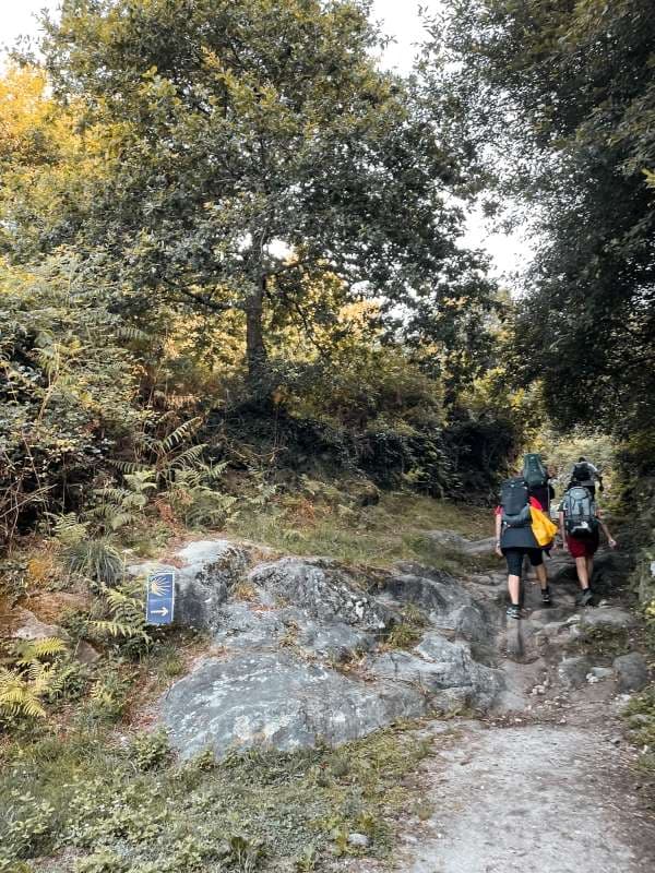 Cammino Portoghese da Tui a Finisterre - foto 4
