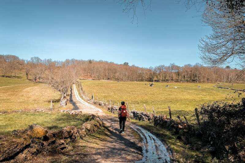 Cammino di Santiago da Sarria versione facile - foto 6