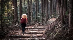 Kumano Kodo – Un pellegrinaggio in Giappone