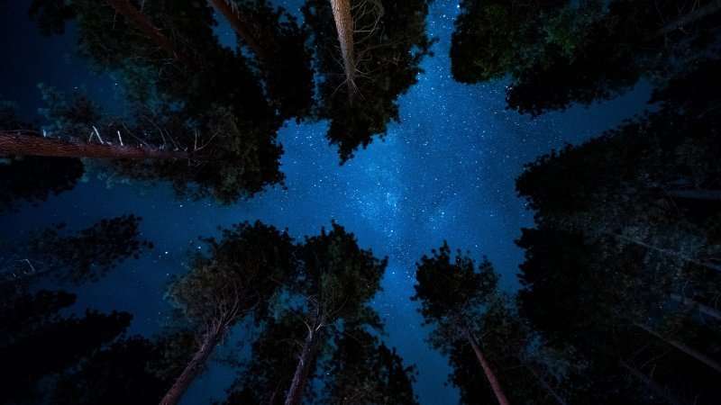 Årsgång, la camminata più buia dell’anno