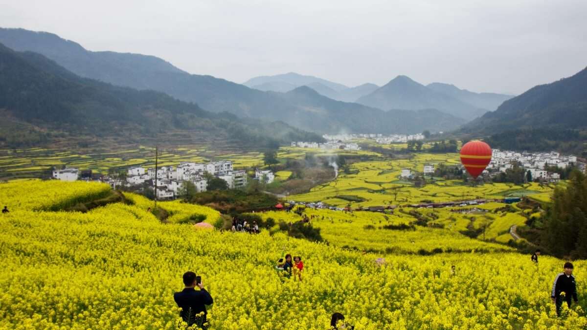 Cina: trekking tra i campi di colza di Wuyuan