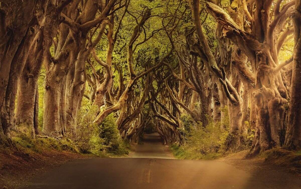 I migliori 5 Trekking in Irlanda