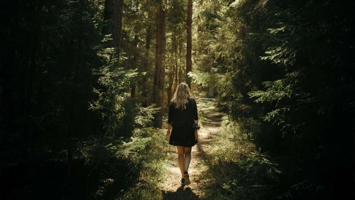 Camminare tra gli alberi, ossigeno per l’anima!
