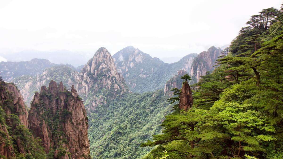 Trekking am Huangshan: Sich im "Wolkenmeer" verlieren