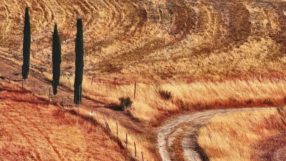 Vie Romee in Toscana