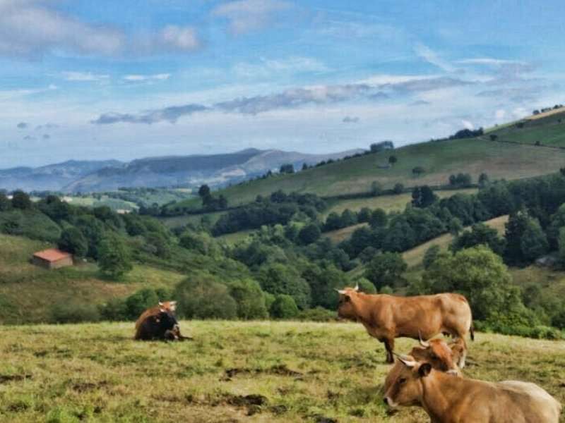 Nuova esperienza sul Cammino Primitivo (travel blog)