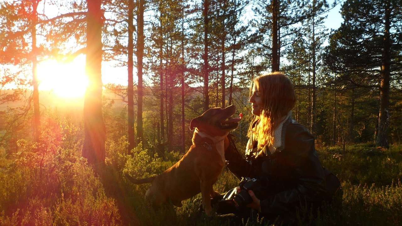 Viaggiare con il proprio cane