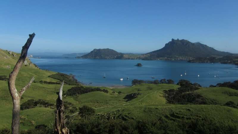 TE ARAROA TRAIL – Nuova Zelanda