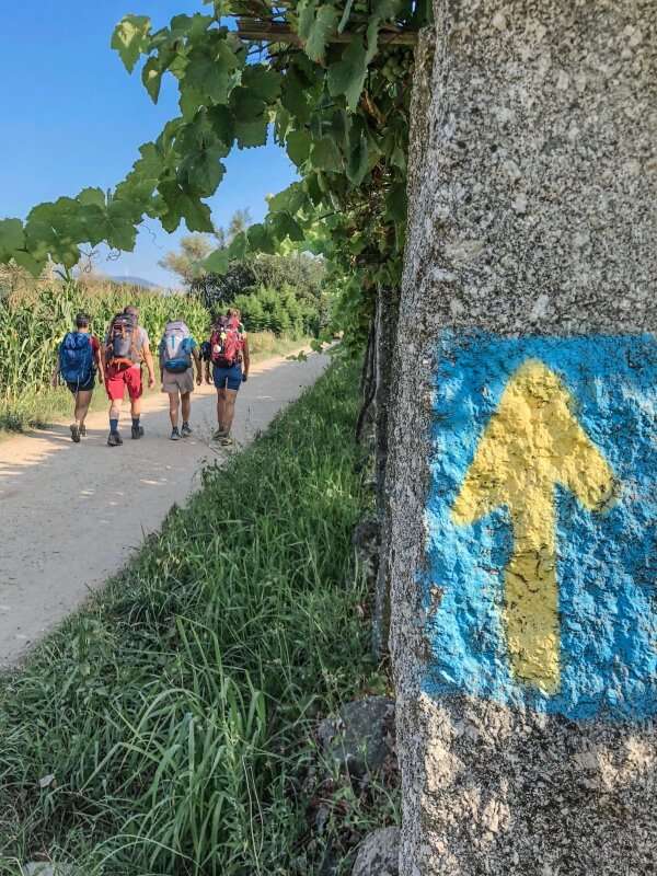 Cammino Portoghese da Vigo - Ultimi 100 km - foto 6